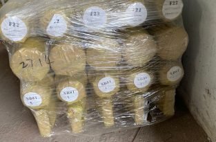 WhatsApp Image 2023-08-07 at 12.52.48